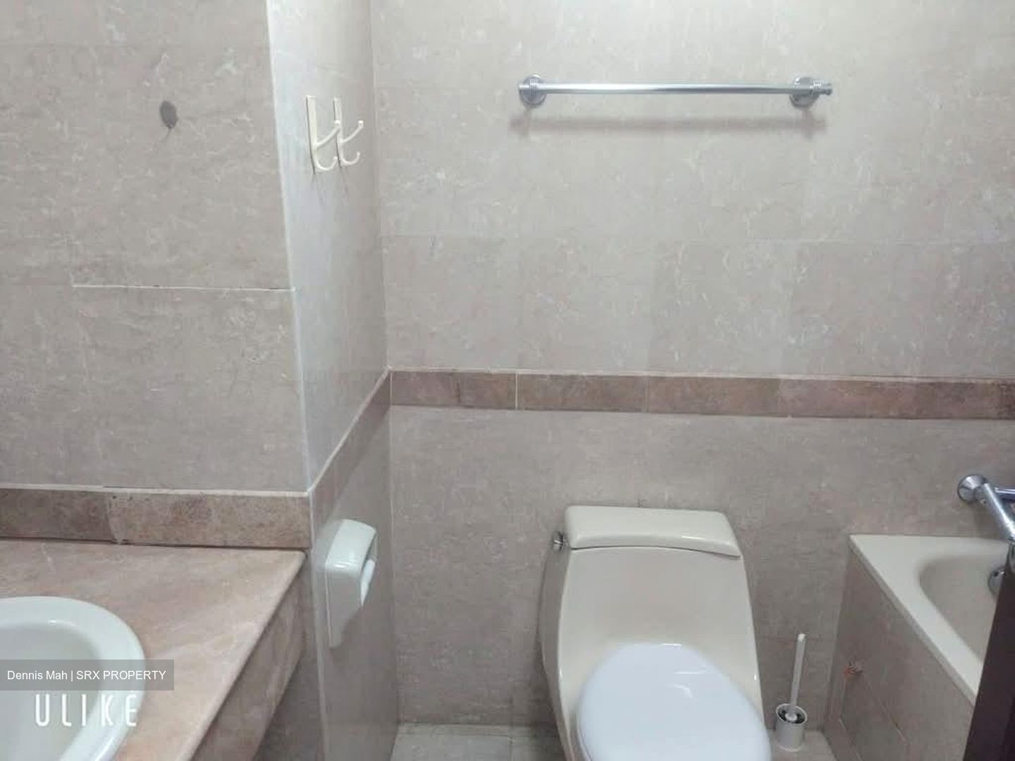 Tanglin Regency (D10), Condominium #602068951